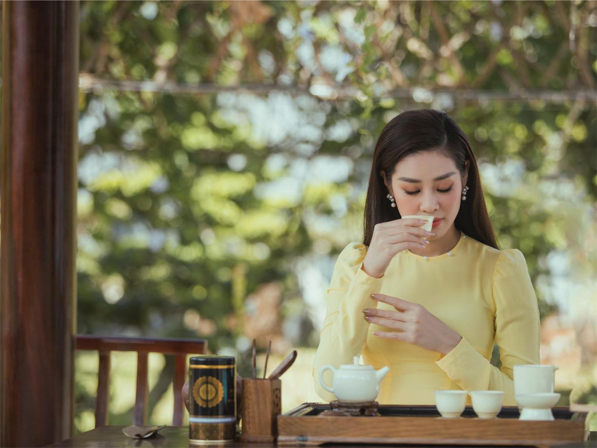 茶叶度假村 保禄 外观 照片